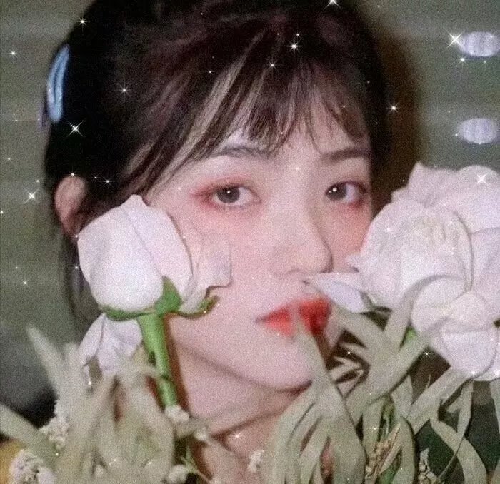 谍网纵横